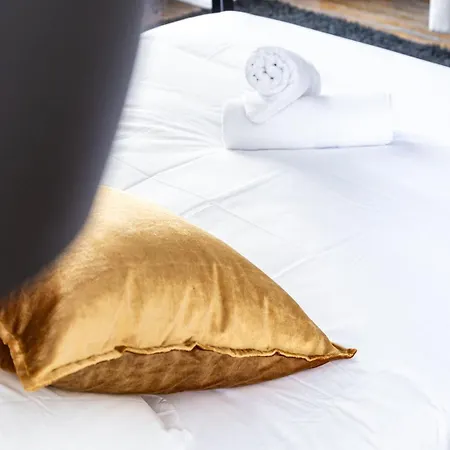 Chambellan Des Ducs - Caractere Et ディジョン