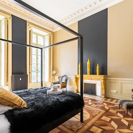 Chambellan Des Ducs - Caractere Et Appartement Dijon